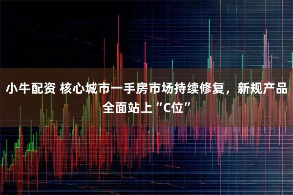 小牛配资 核心城市一手房市场持续修复,新规产品全面站上“C位”