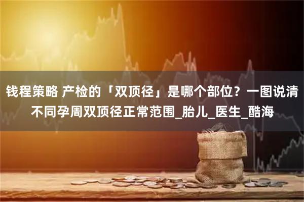 钱程策略 产检的「双顶径」是哪个部位？一图说清不同孕周双顶径正常范围_胎儿_医生_酷海